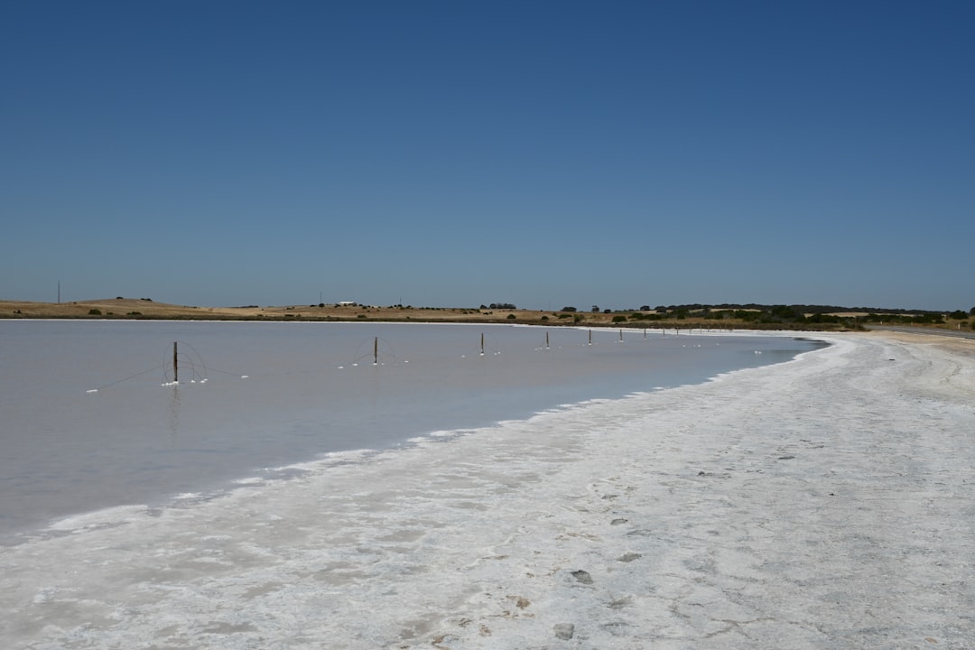 Saline Aguada Blanca: fauna selvatica ad alta quota - Reserva Nacional de Salinas y Aguada Blanca | Secret World Trip Planner