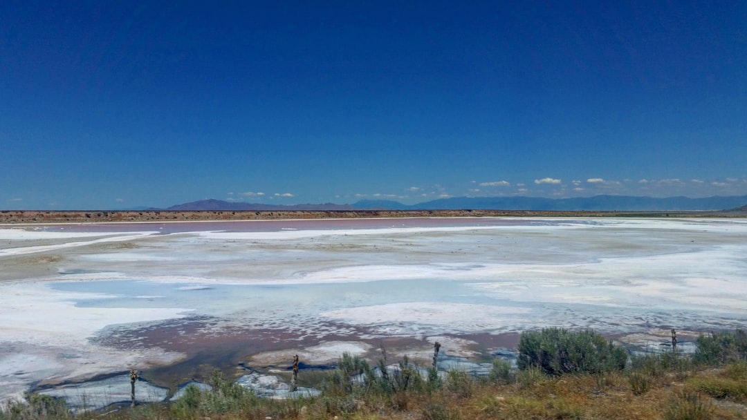 Saline Aguada Blanca: Hochgebirgswildtiere entdecken - Reserva Nacional de Salinas y Aguada Blanca | Secret World Trip Planner