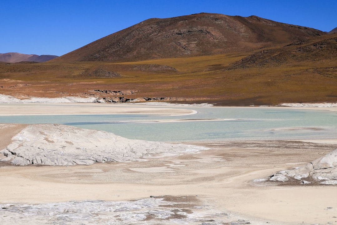 Saline Aguada Blanca: fauna selvagem em altitudes - Reserva Nacional de Salinas y Aguada Blanca | Secret World Trip Planner