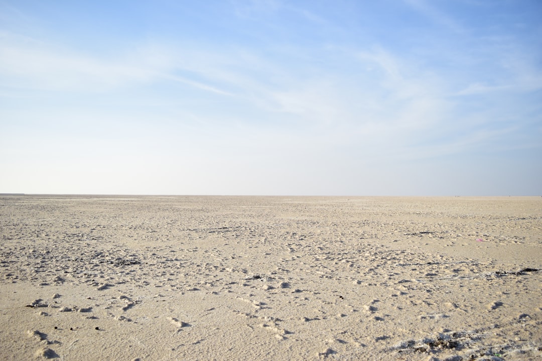 Rann of Kutch: Die weiße Wüste von Gujarat - Dhordo | Secret World Trip Planner