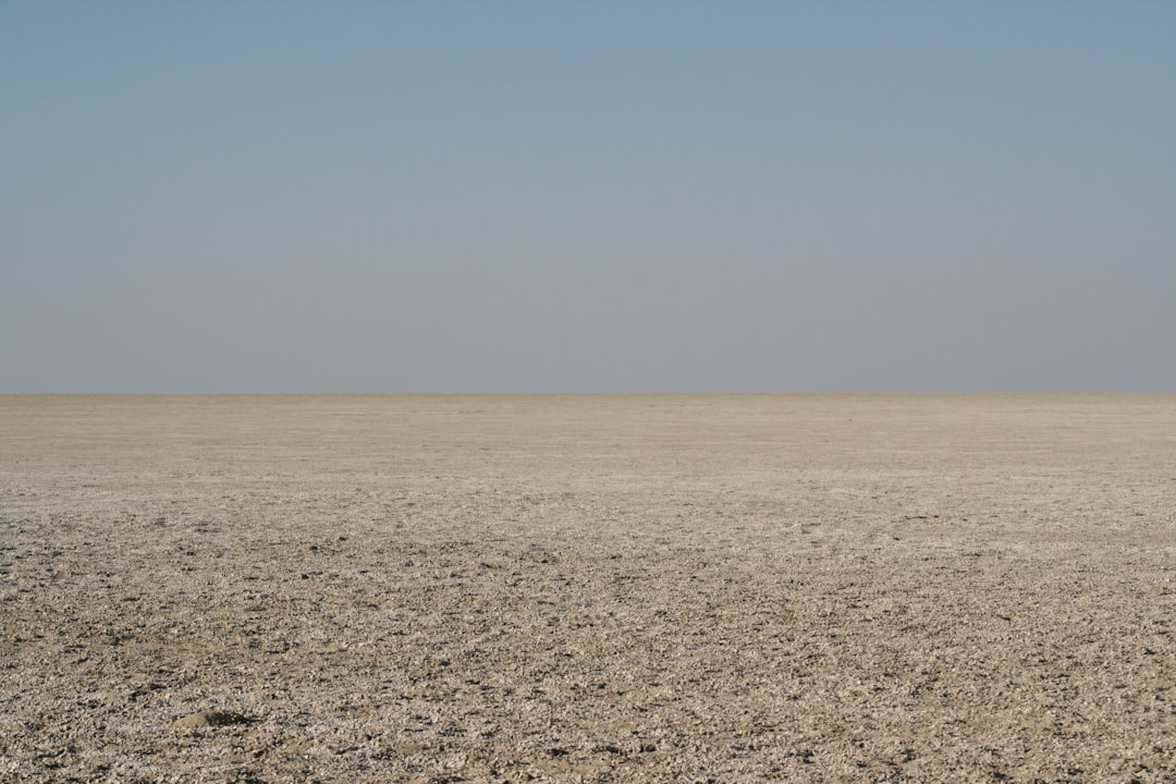 Rann de Kutch : le désert blanc du Gujarat - Dhordo | Secret World Trip Planner