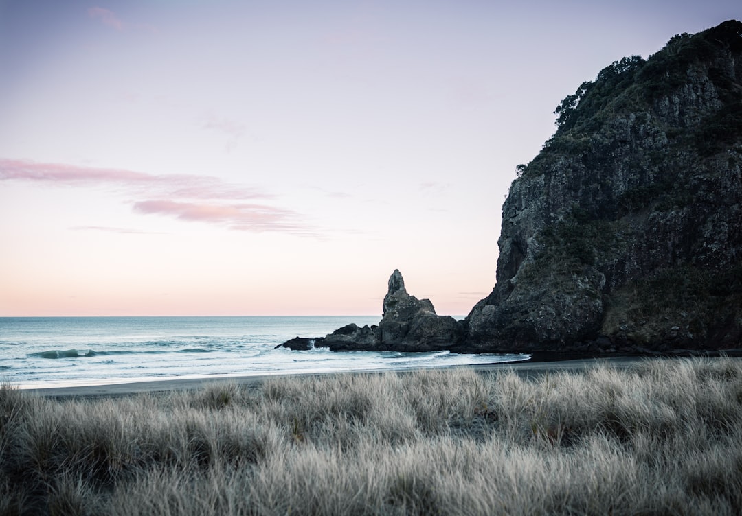 Descubre Sentinel Rock: una joya de Nueva Zelanda - Sentinel Rock Walk | Secret World Trip Planner