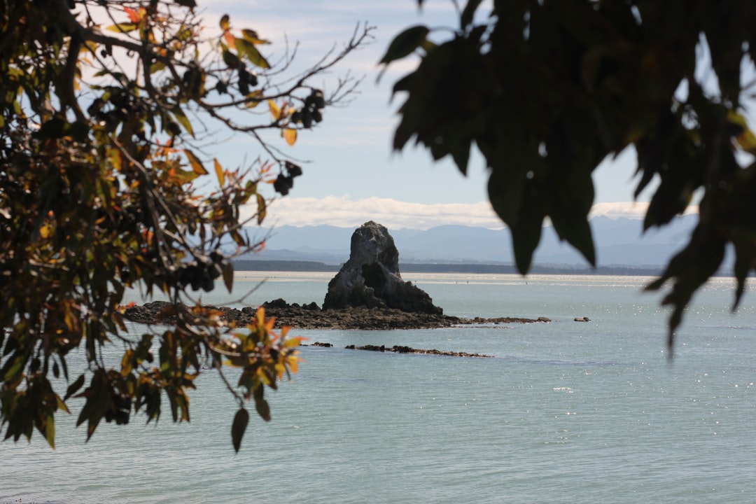 센티넬 록: 뉴질랜드의 보석을 발견하다 - Sentinel Rock Walk | Secret World Trip Planner