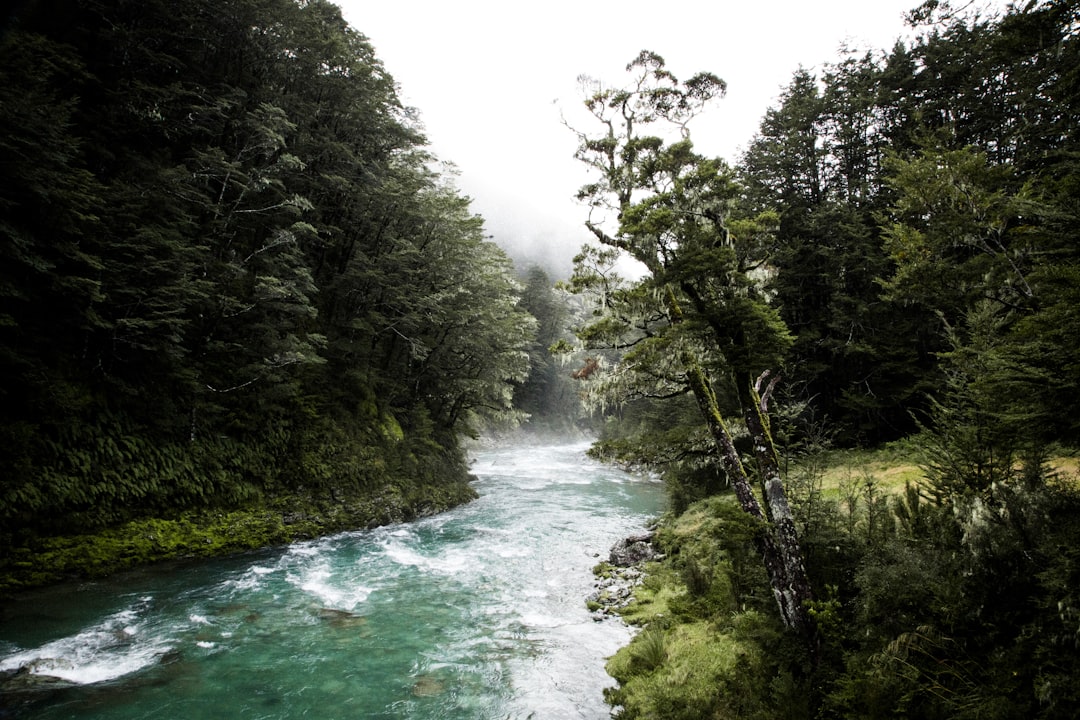 Descubre las Silica Rapids: una joya de Nueva Zelanda - Waimarino | Secret World Trip Planner