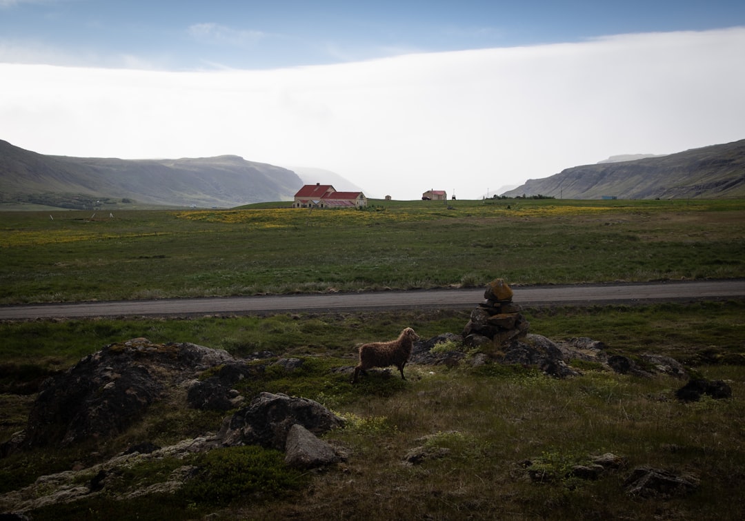 Entdecken Sie Þorsteinn Erlingsson: Der isländische Dichter der Natur und sozialen Kritik - Reykjavík | Secret World Trip Planner