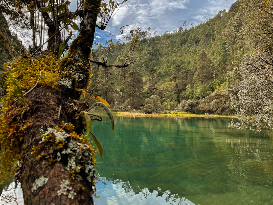 Entdecke Semuc Champey: ein Naturparadies in Guatemala - Chicanutz | Secret World Trip Planner