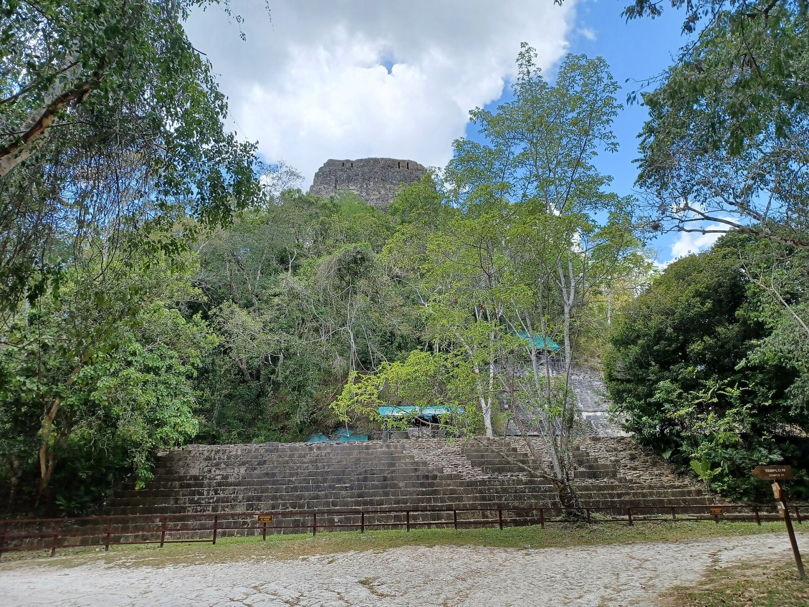 Descubre el Templo IV: una joya de Tikal en Guatemala - Tikal | Secret World Trip Planner