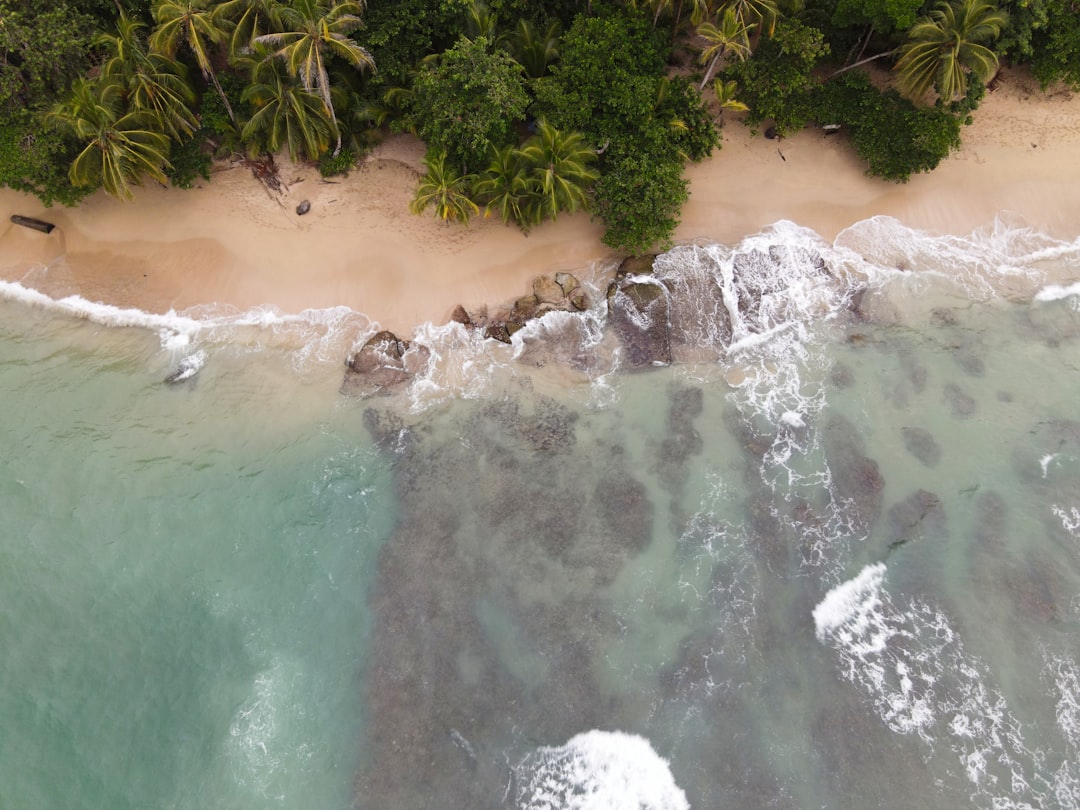 Découvrez Punta Uva : Un Paradis Tropical au Costa Rica - Punta Uva | Secret World Trip Planner