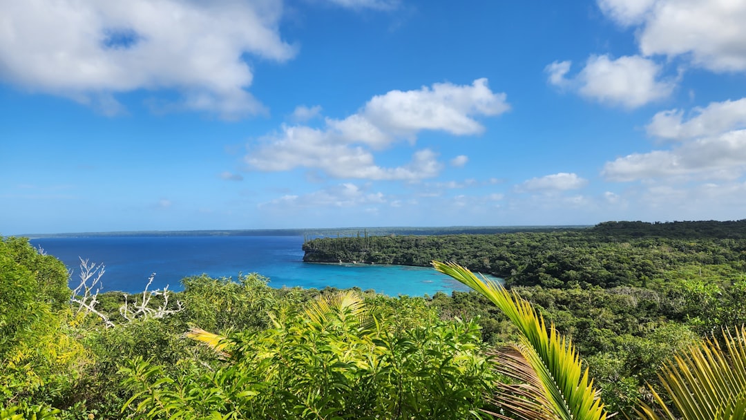 Лифу: коралловый остров с кристально чистыми водами - Lifou | Secret World Trip Planner