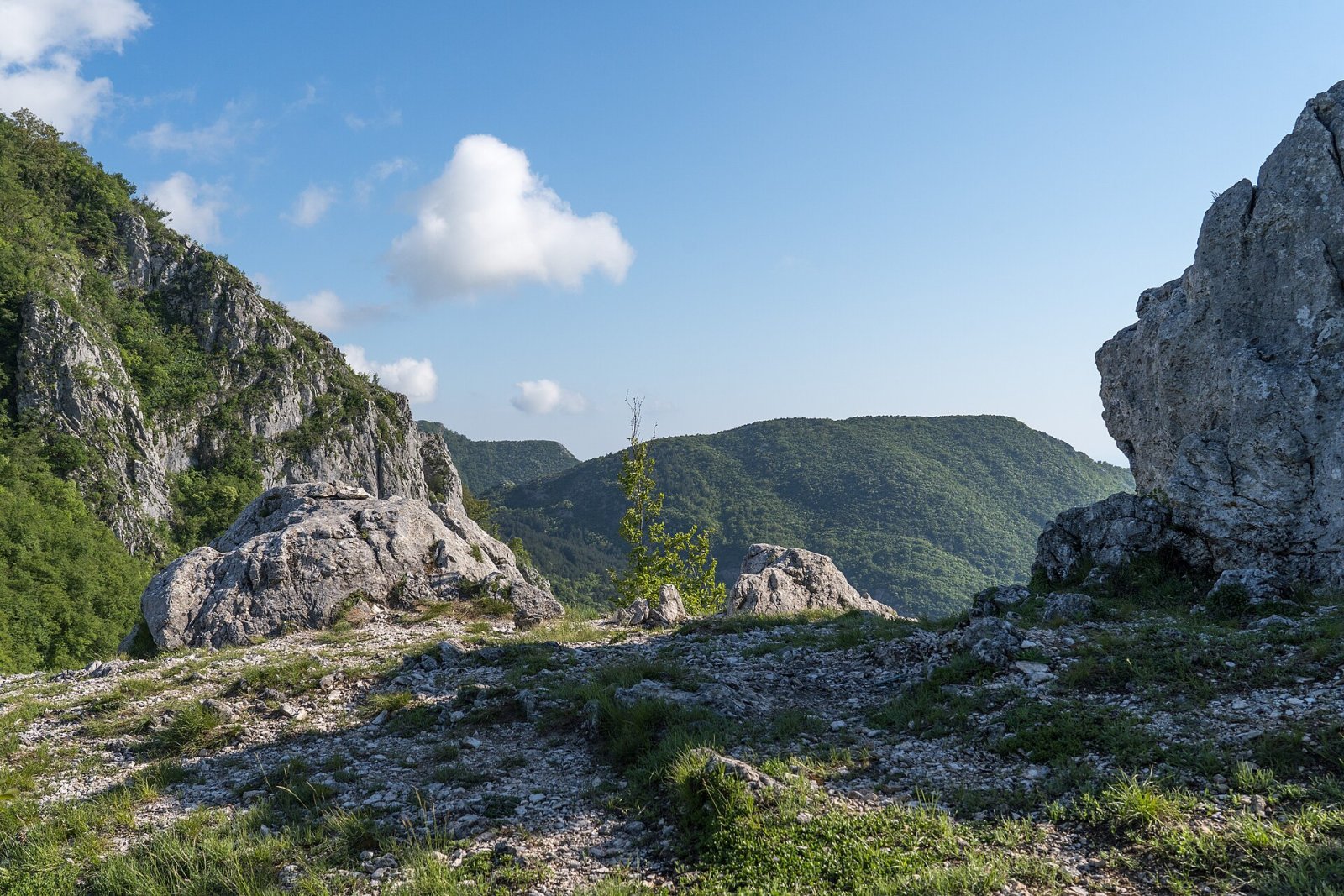Découvrez Bijela Skala : un coin de paradis au Monténégro - Tudjemili | Secret World Trip Planner