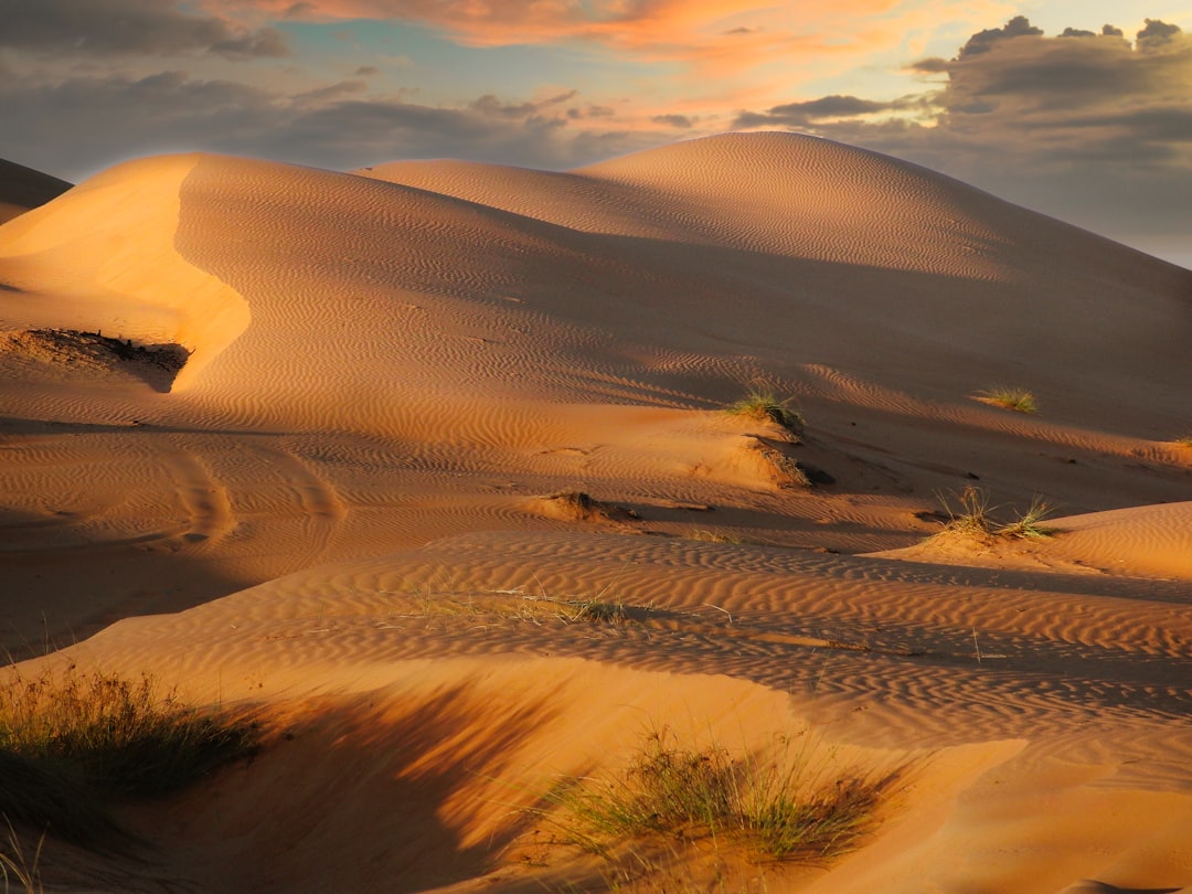 Rub' al-Khali: il deserto più grande del mondo | Secret World Trip Planner
