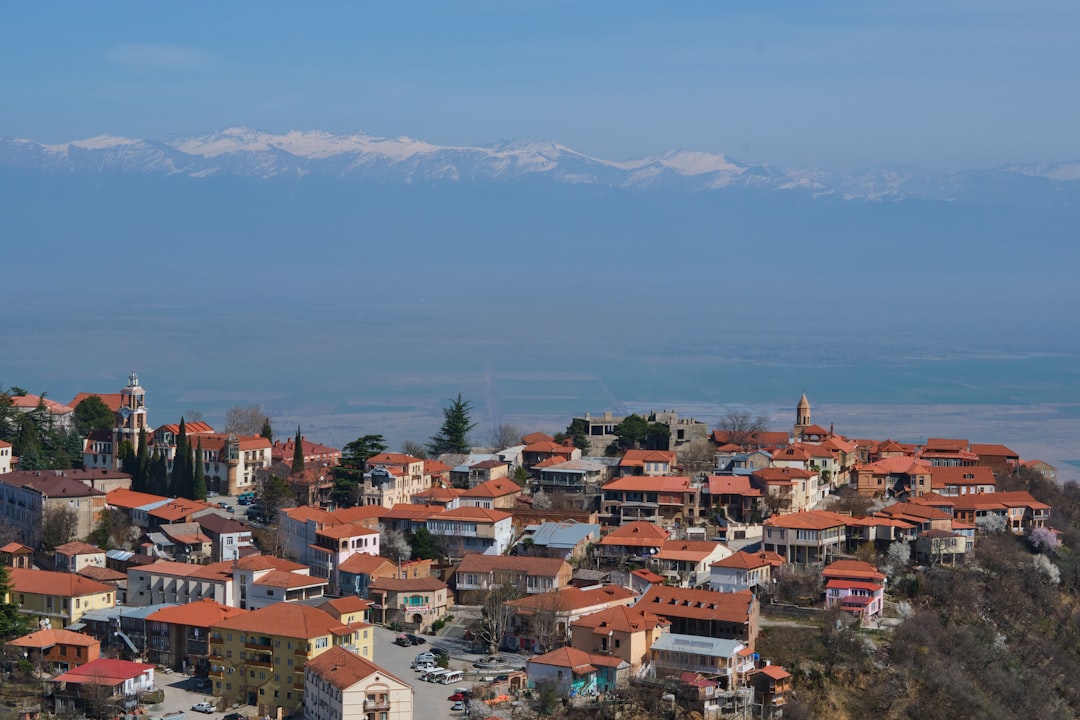 Sighnaghi : panoramas sur les murs médiévaux de Kakheti - 9 Lolashvili St | Secret World Trip Planner