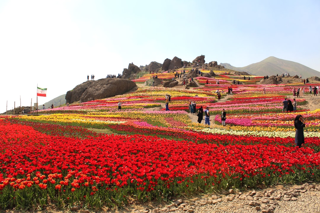 Valley of Flowers in Yumthang: High-Altitude Blooms - Yumthang | Secret World Trip Planner