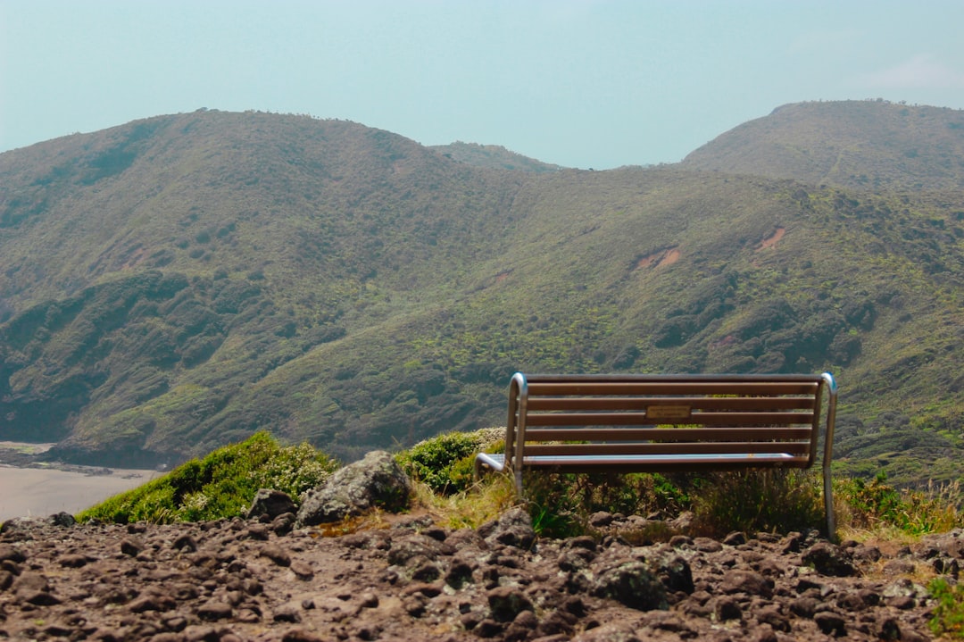 Wooden Seat: Uma Experiência Única na Nova Zelândia - Christchurch | Secret World Trip Planner