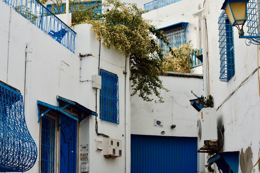 Les souks de Tunis : parfums et couleurs de la Médina - Q5WC+J77 | Secret World Trip Planner