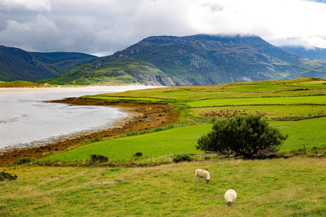 Explorando Beenkeragh: A Montanha das Ovelhas na Irlanda - Killarney Road | Secret World Trip Planner