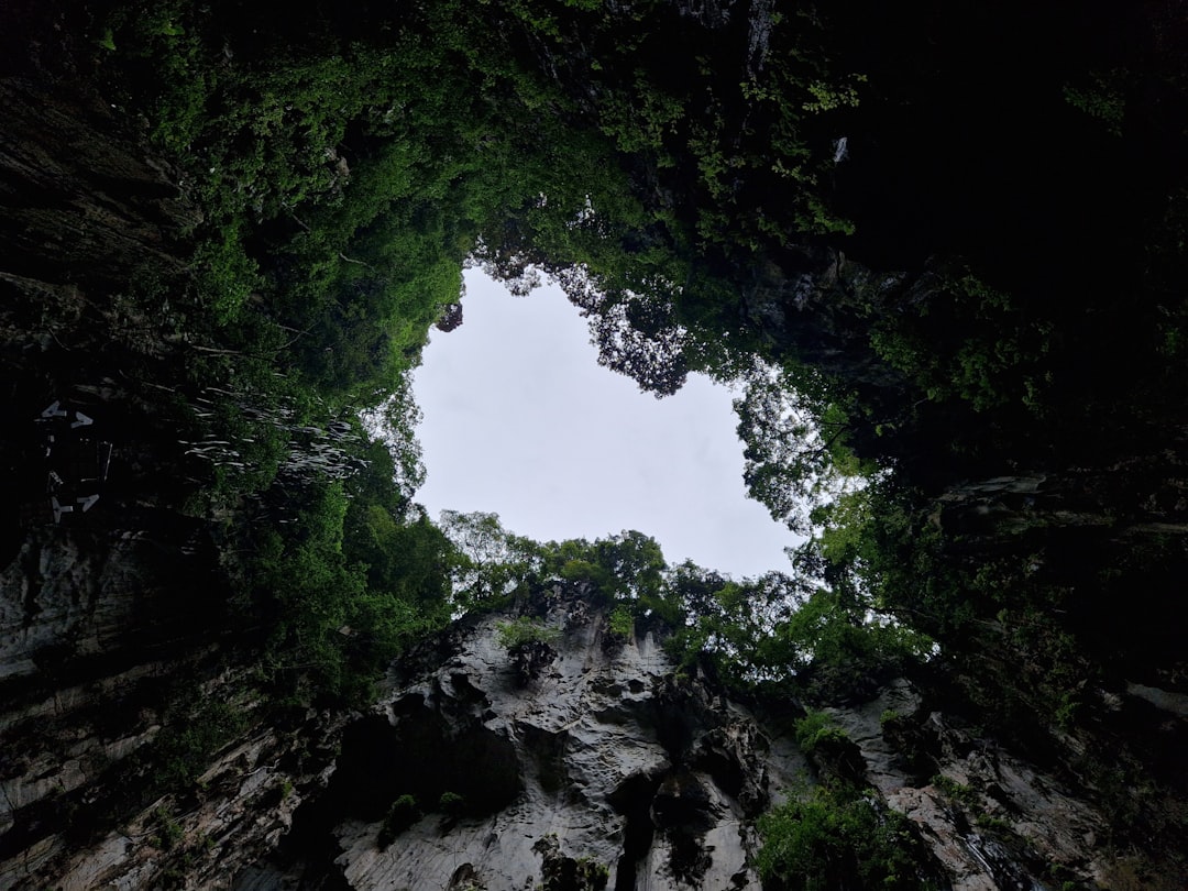 Descubra a Wind Cave: uma joia natural na Malásia | Secret World Trip Planner