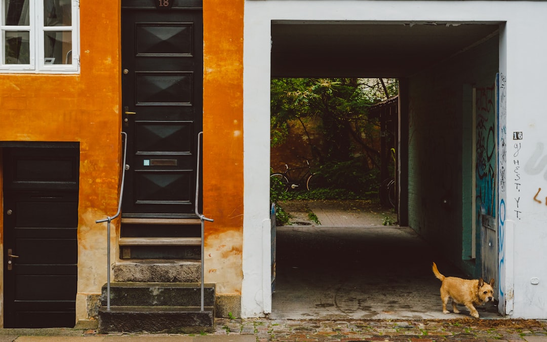 Budget-Friendly Copenhagen Vacations 2026: A Practical Guide - Copenaghen | Secret World Trip Planner