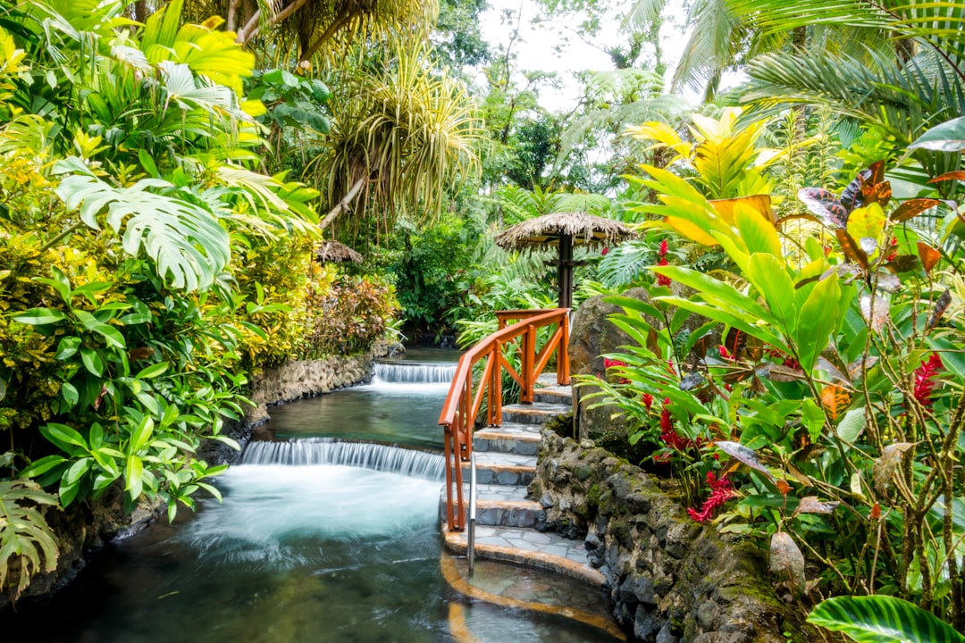 Табакон: вулканические термы в Коста-Рике - La Fortuna | Secret World Trip Planner