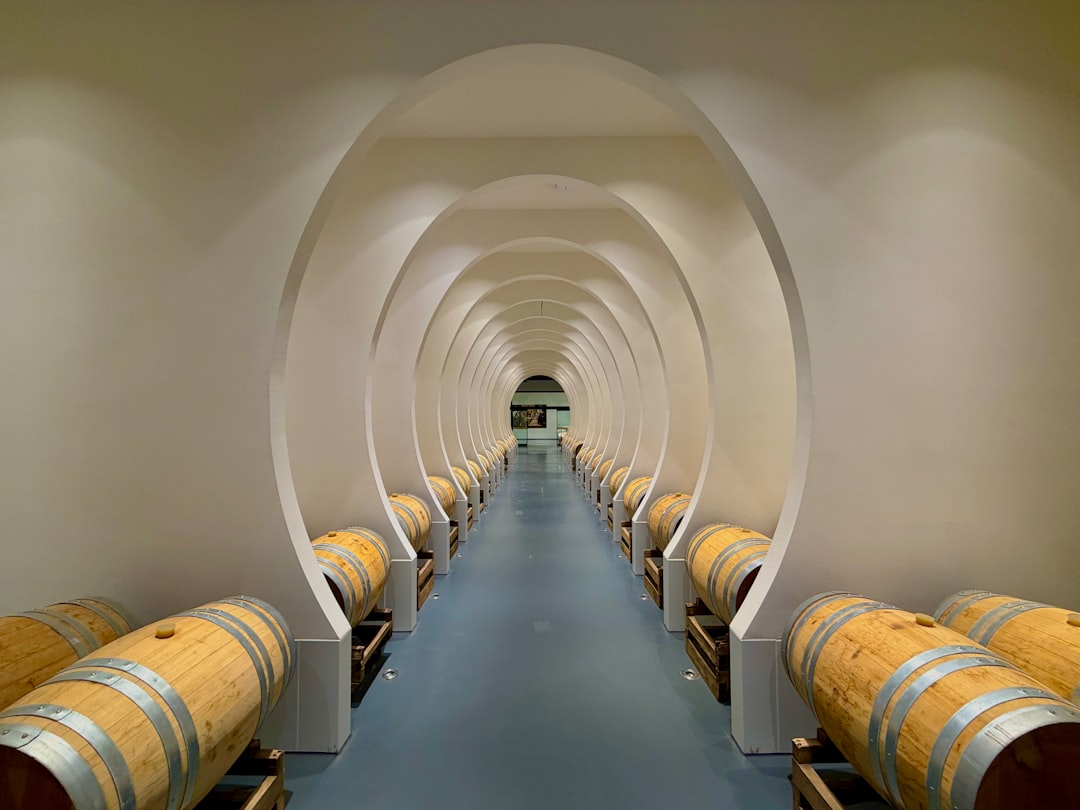 Wine Museum Brotte: vini e terroir a Châteauneuf-du-Pape - Av. Saint-Pierre de Luxembourg | Secret World Trip Planner