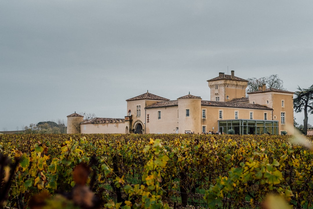 布罗特葡萄酒博物馆:查特纽夫-杜-帕普的美酒与风土 - Av. Saint-Pierre de Luxembourg | Secret World Trip Planner