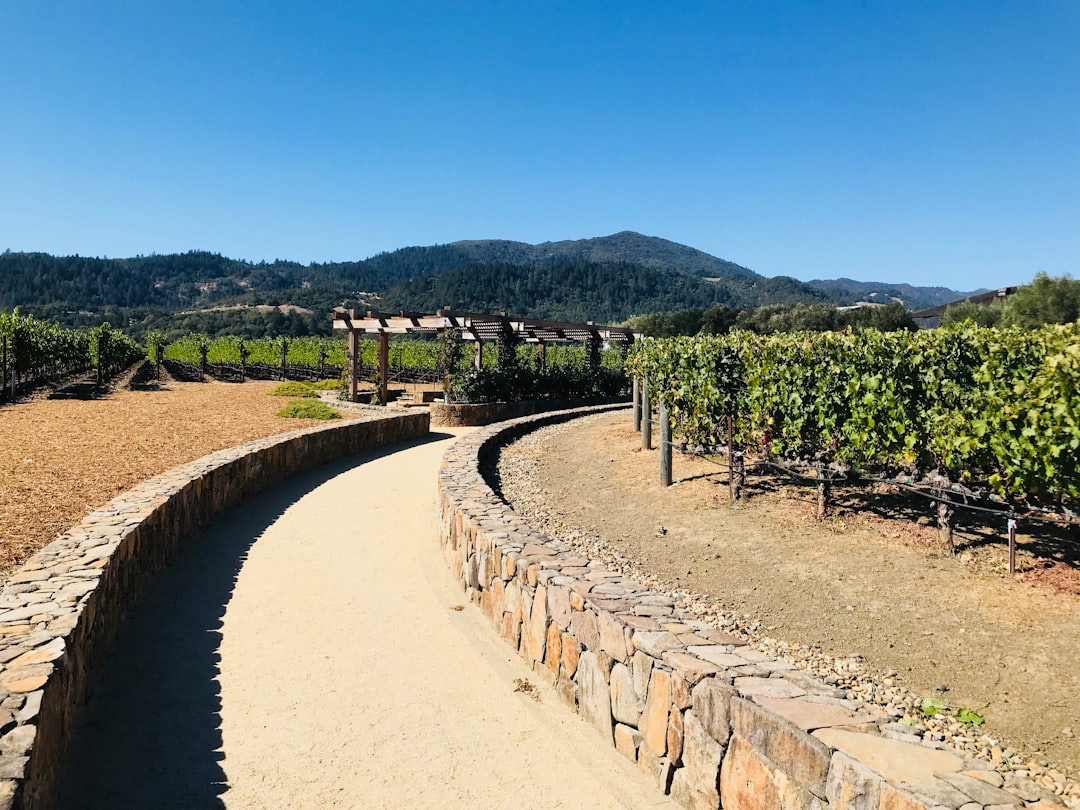 Train de Vin de Napa Valley : paysages et vins en voyage - Napa | Secret World Trip Planner