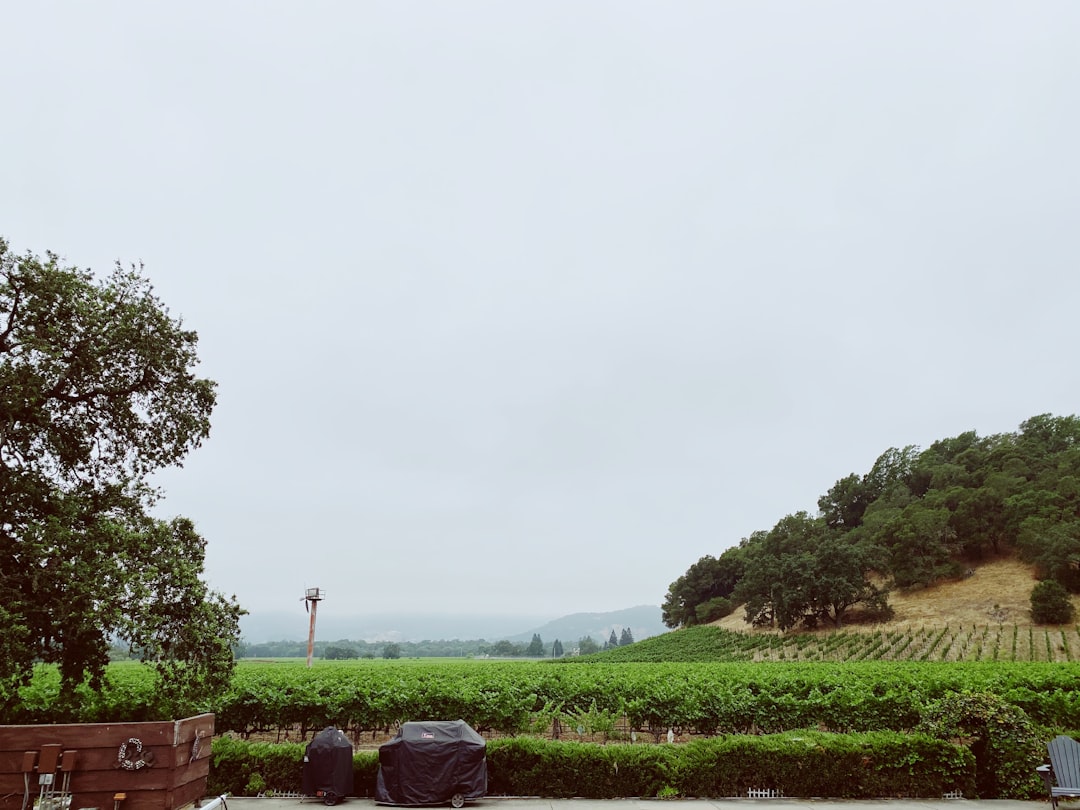 Train de Vin de Napa Valley : paysages et vins en voyage - Napa | Secret World Trip Planner