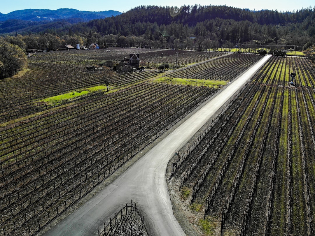 纳帕谷葡萄酒列车：沿途美酒与风景 - Napa | Secret World Trip Planner