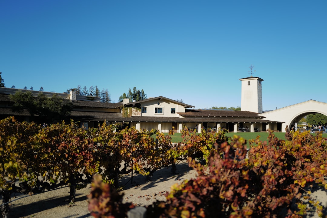 纳帕谷葡萄酒列车：沿途美酒与风景 - Napa | Secret World Trip Planner