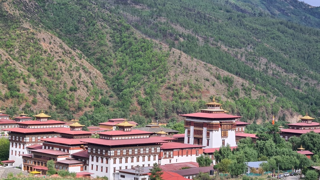 Vinos de alta montaña en Shangri-La: entre viñedos y Himalayas - Diqing Tibetan Autonomous Prefecture | Secret World Trip Planner