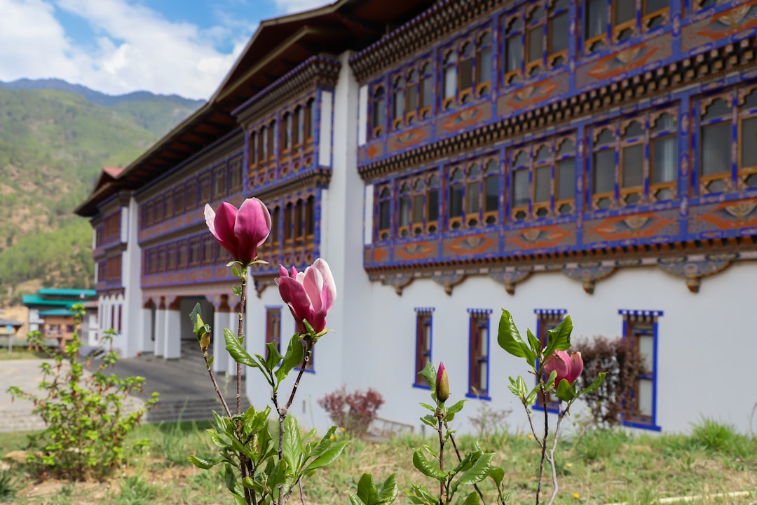 Вина высоких гор в Шангри-Ла: между виноградниками и Гималаями - Diqing Tibetan Autonomous Prefecture | Secret World Trip Planner