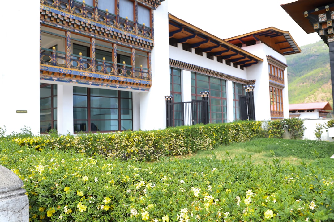 Вина высоких гор в Шангри-Ла: между виноградниками и Гималаями - Diqing Tibetan Autonomous Prefecture | Secret World Trip Planner