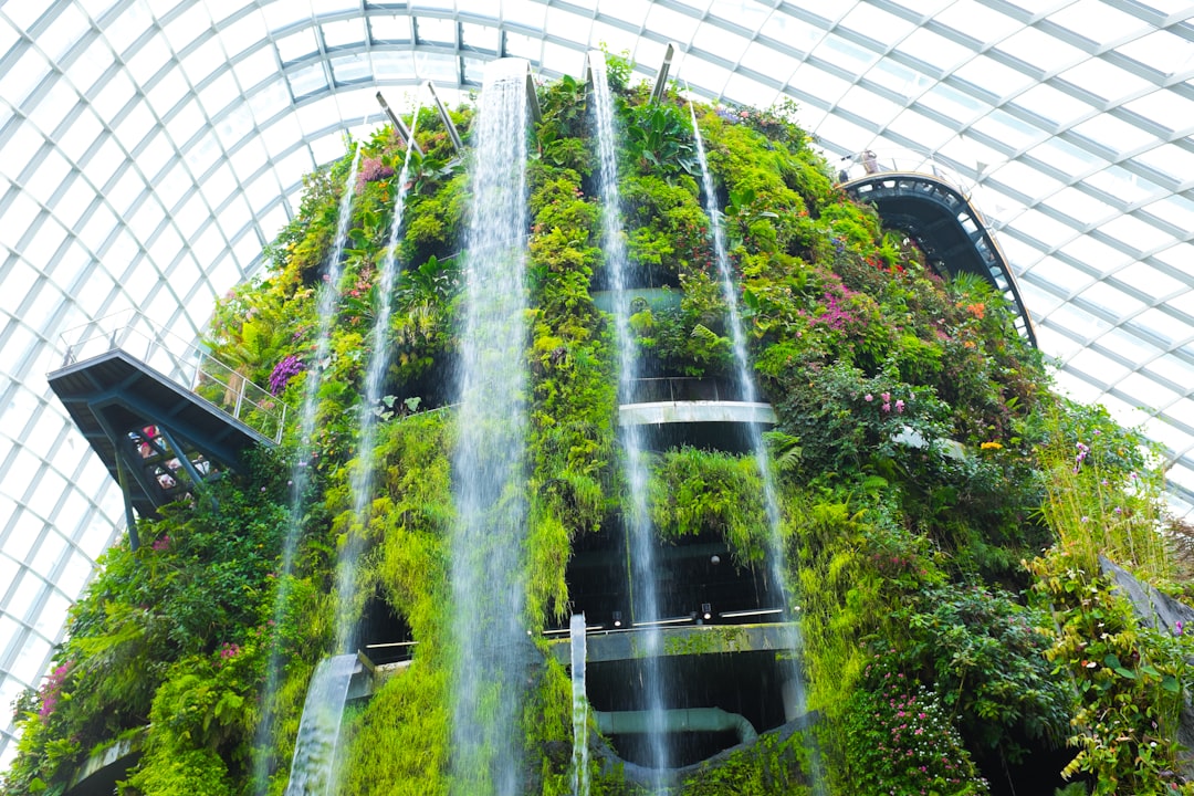 Cloud Forest Singapore: arte e natura a 35 metri d'altezza - 18 Marina Gardens Dr | Secret World Trip Planner