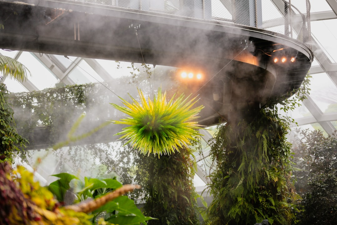 Wolkenwald Singapur: Kunst und Natur in 35 Metern - 18 Marina Gardens Dr | Secret World Trip Planner