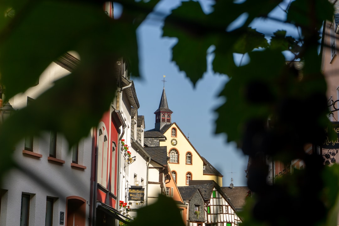 Museo del Vino della Mosella a Bernkastel-Kues - Cusanusstraße 2 | Secret World Trip Planner