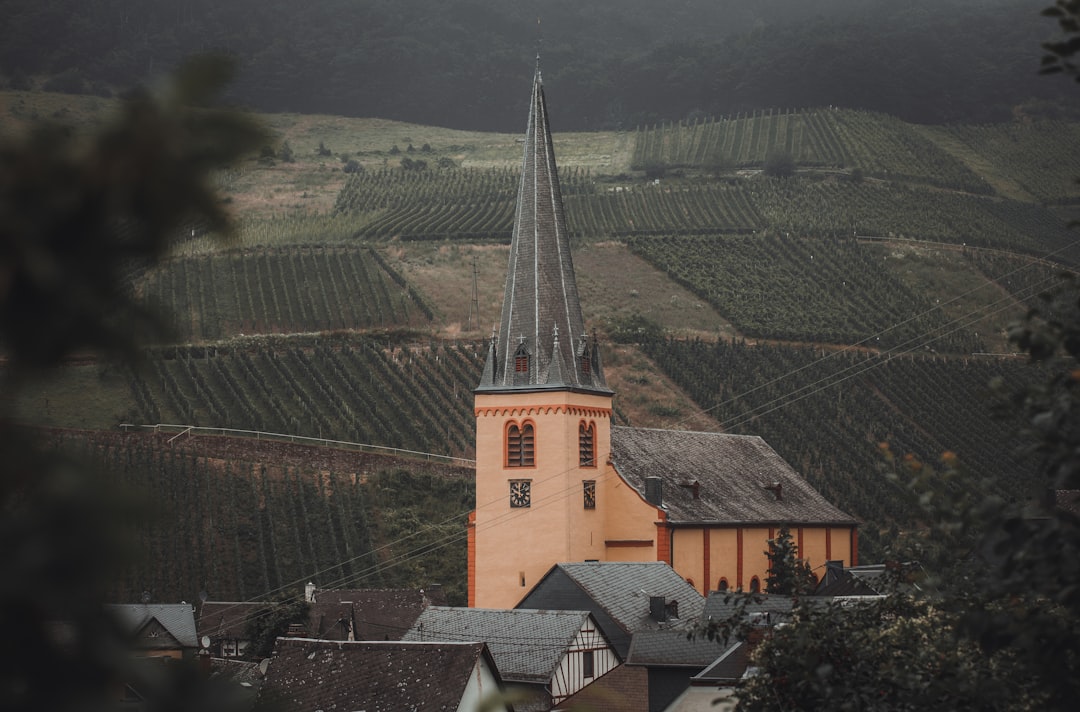 Weinmuseum Mosel in Bernkastel-Kues entdecken - Cusanusstraße 2 | Secret World Trip Planner