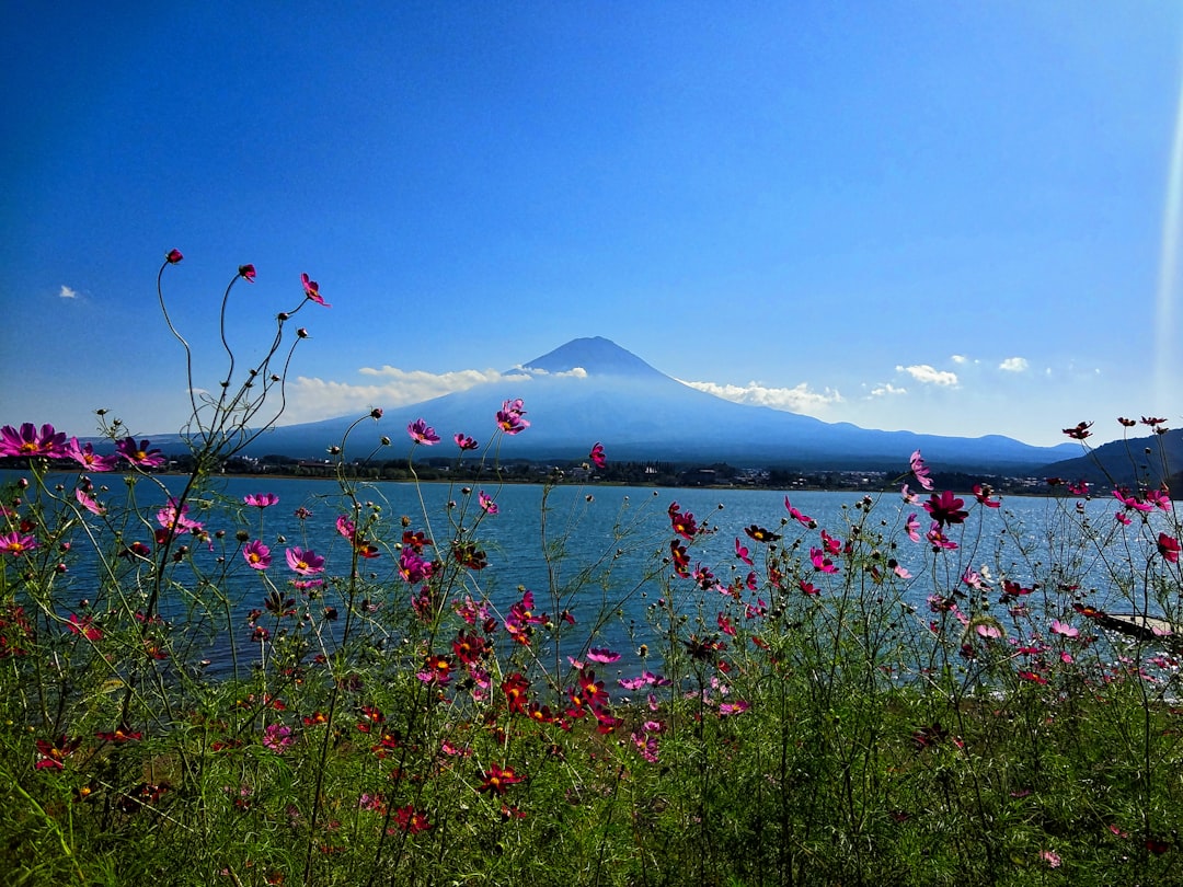Secret World vs Wanderlog: Which App for Tokyo 2026? - Tokyo | Secret World Trip Planner