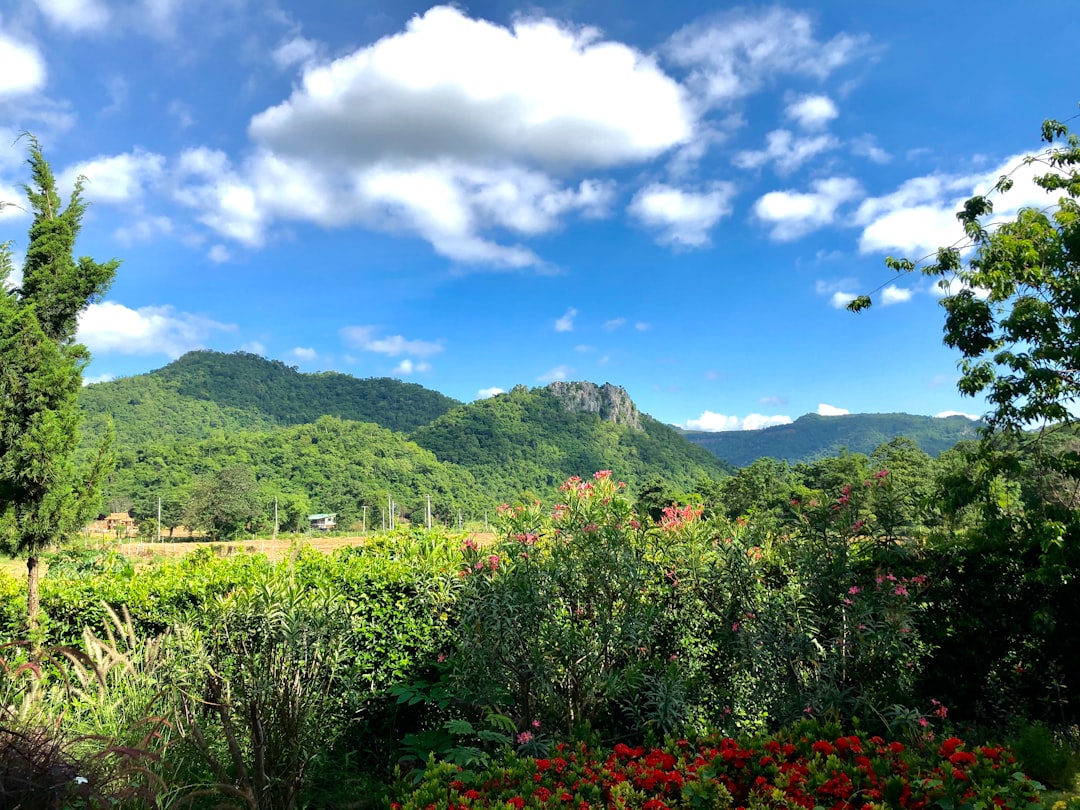 Khao Yai: il paradiso naturale della Thailandia — Doem Bang Nang Buat District