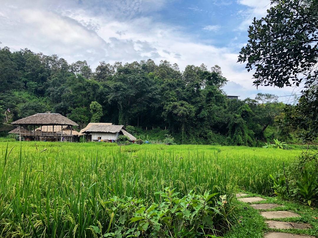 プー・カイを探検する:タイの自然の楽園 - Chaloem Phra Kiat District | Secret World Trip Planner