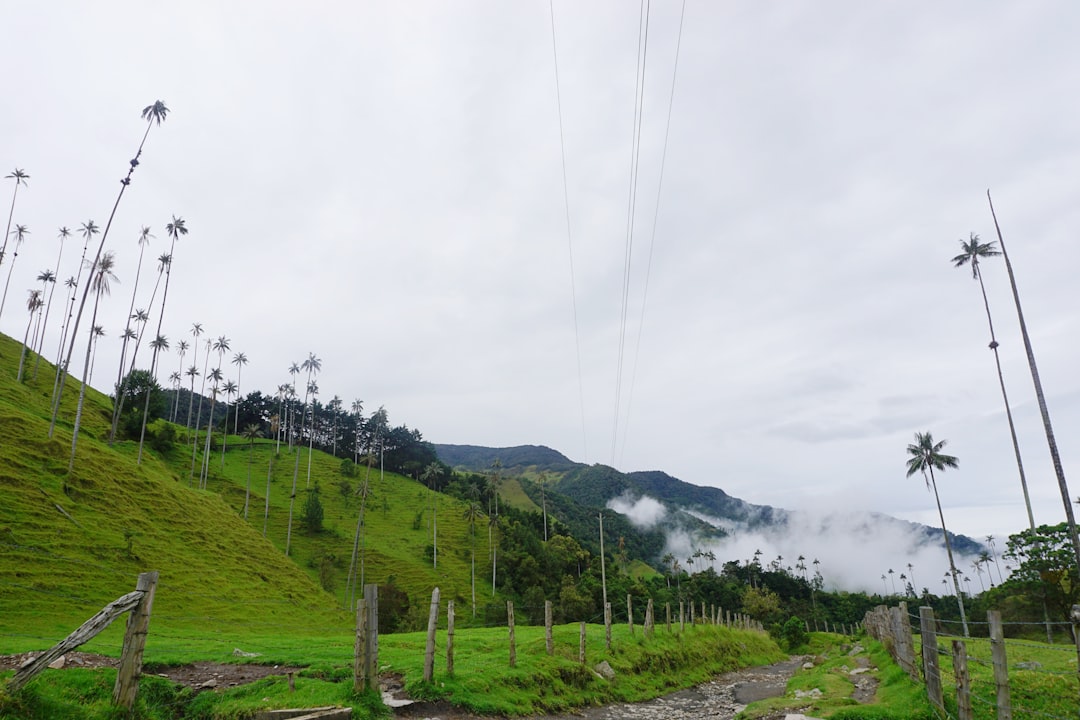 Découvrez Alto Miraflores : un coin de nature en Colombie | Secret World Trip Planner