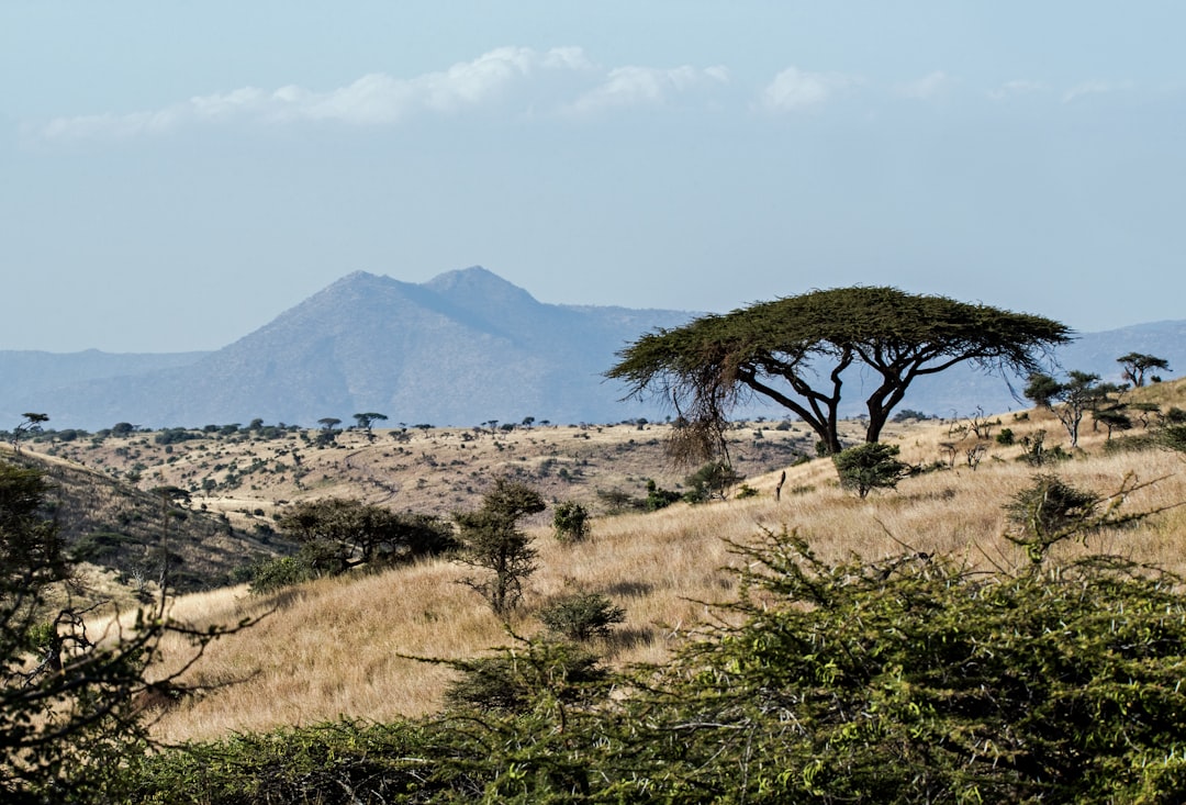 Scopri la Magia del Mount Kulal in Kenya - Gatab | Secret World Trip Planner