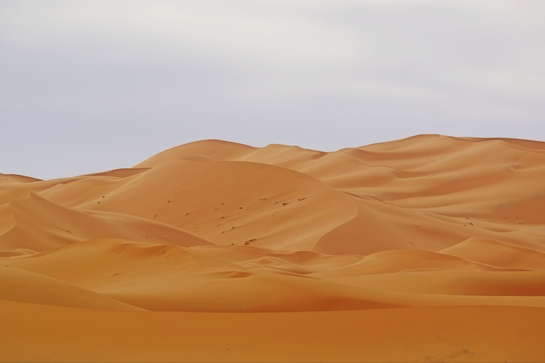 Merzouga and the Erg Chebbi Dunes: True Sahara Adventure - Merzouga 52202 | Secret World Trip Planner