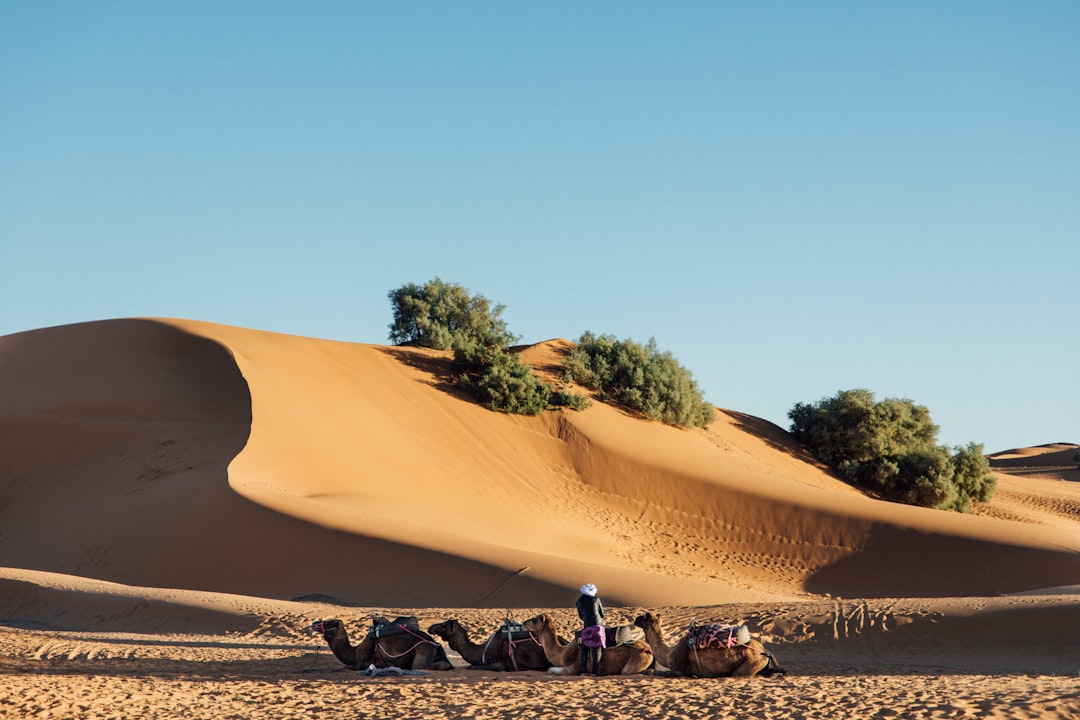 Merzouga et les dunes de l'Erg Chebbi : le vrai Sahara - Merzouga 52202 | Secret World Trip Planner