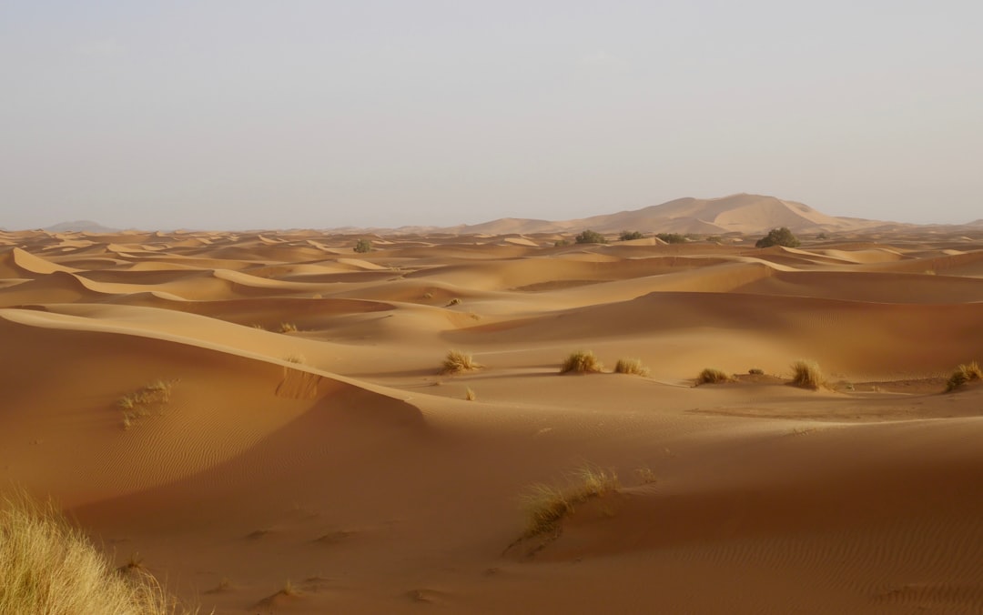 Merzouga e as Dunas do Erg Chebbi: o Verdadeiro Sahara - Merzouga 52202 | Secret World Trip Planner