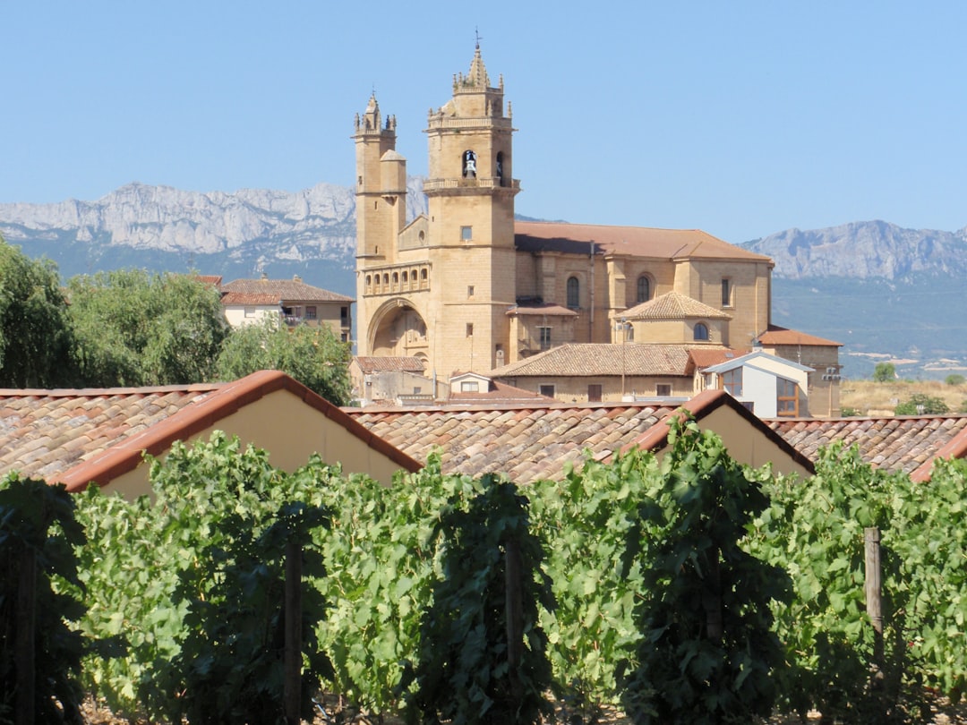 Colares: os vinhos atlânticos das areias de Portugal - Alameda Cel. Linhares de Lima 32 | Secret World Trip Planner