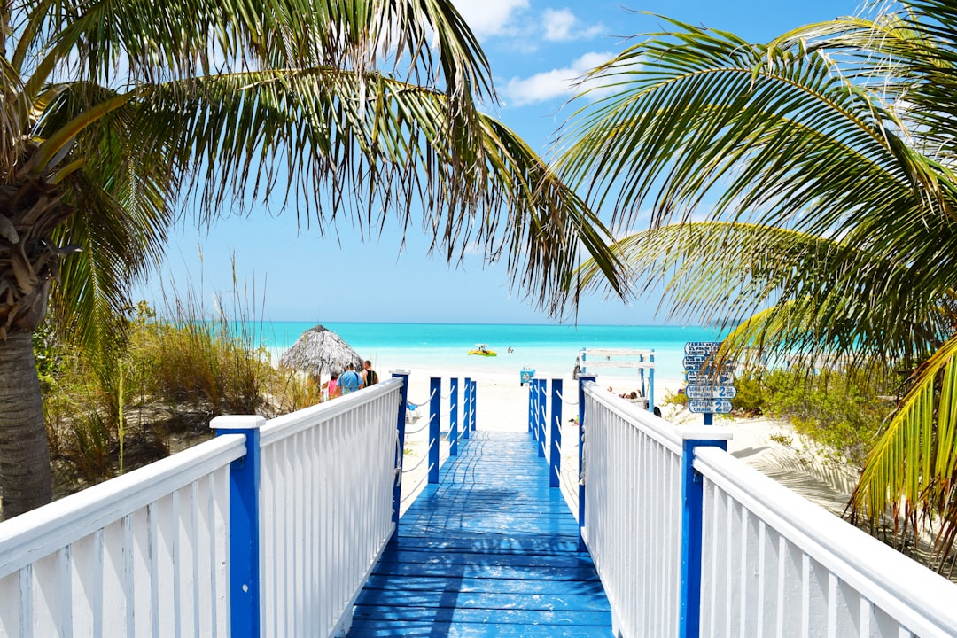 カヨココ：キューバのフラミンゴの島 — Cayo Coco