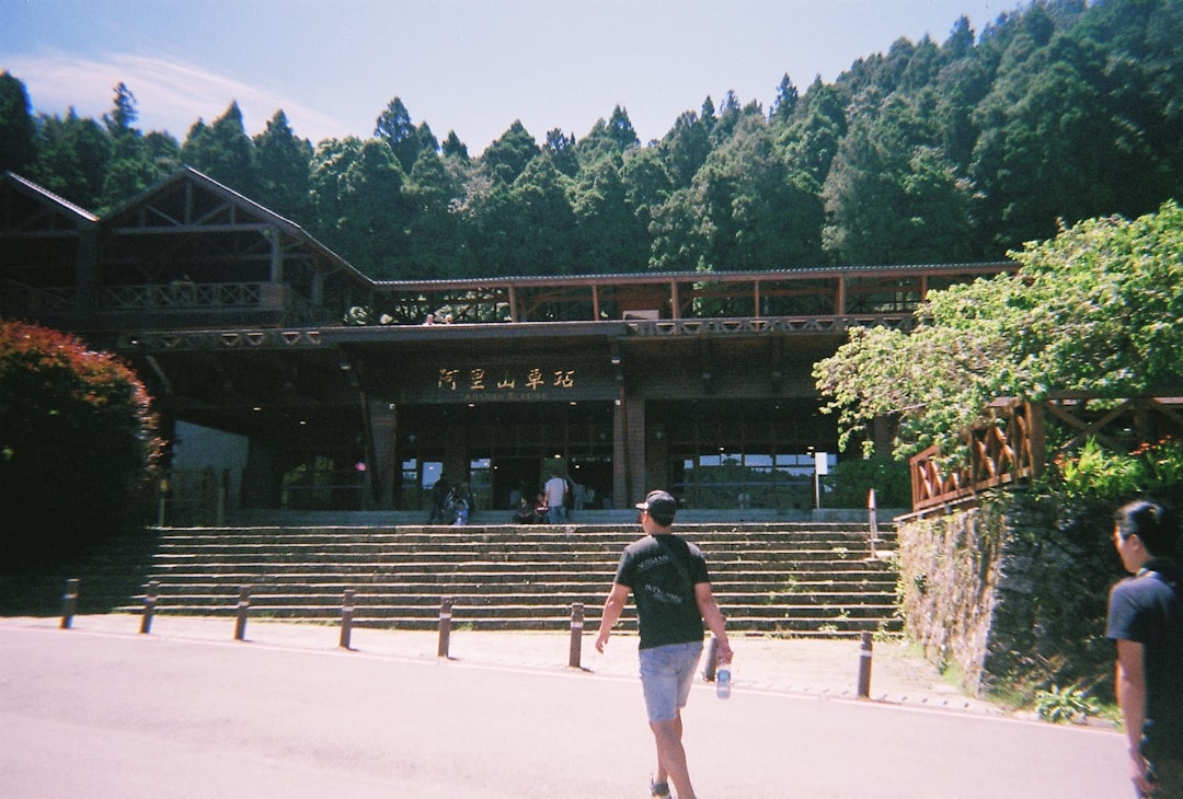 Alishan: Sonnenaufgang zwischen Wolken und Zypressen - Alishan Township | Secret World Trip Planner