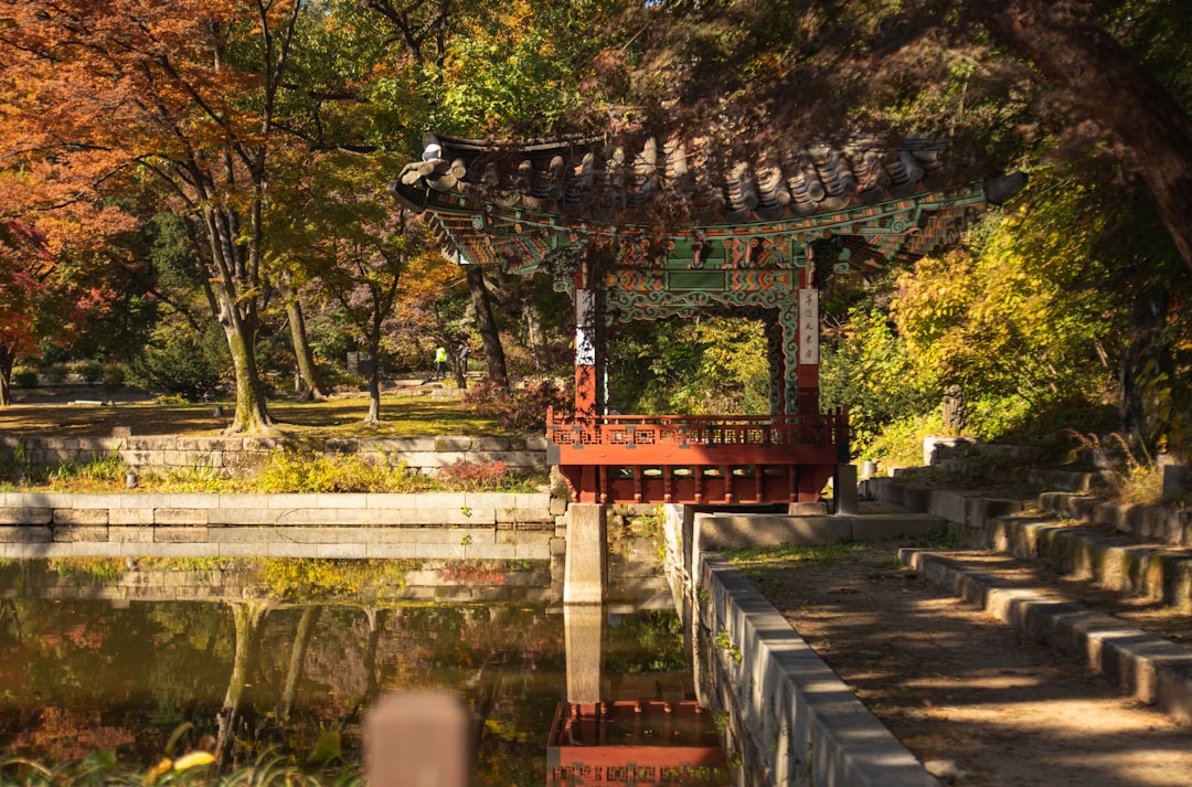 Changdeokgung: Seoul's Secret Palace Revealed - Jongno District | Secret World Trip Planner