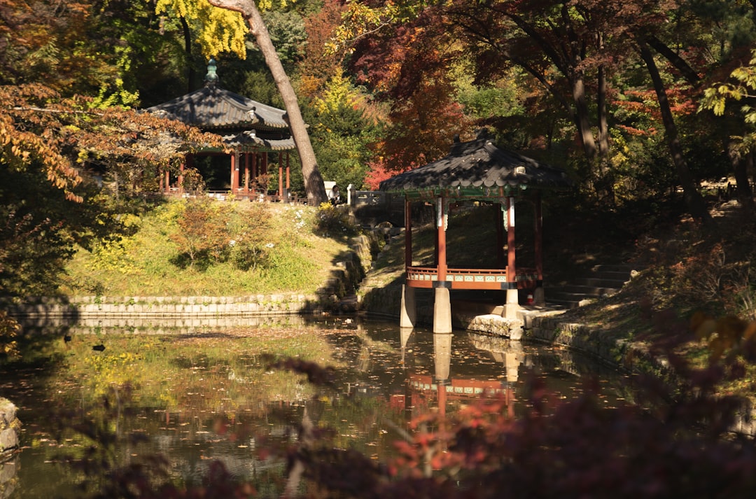 Changdeokgung: el palacio secreto de Seúl - Jongno District | Secret World Trip Planner
