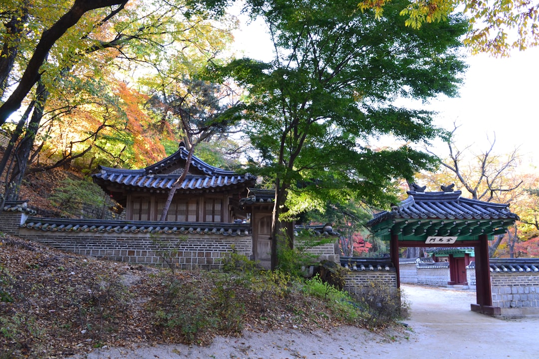 창덕궁: 서울의 비밀 궁전 탐방 - Jongno District | Secret World Trip Planner